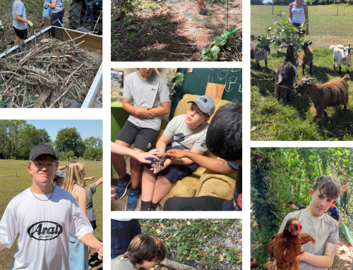 Young People Giving Back to their Community